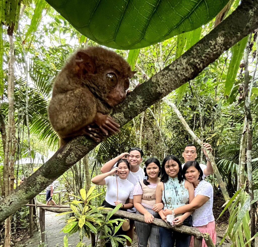 Bohol's smallest primate